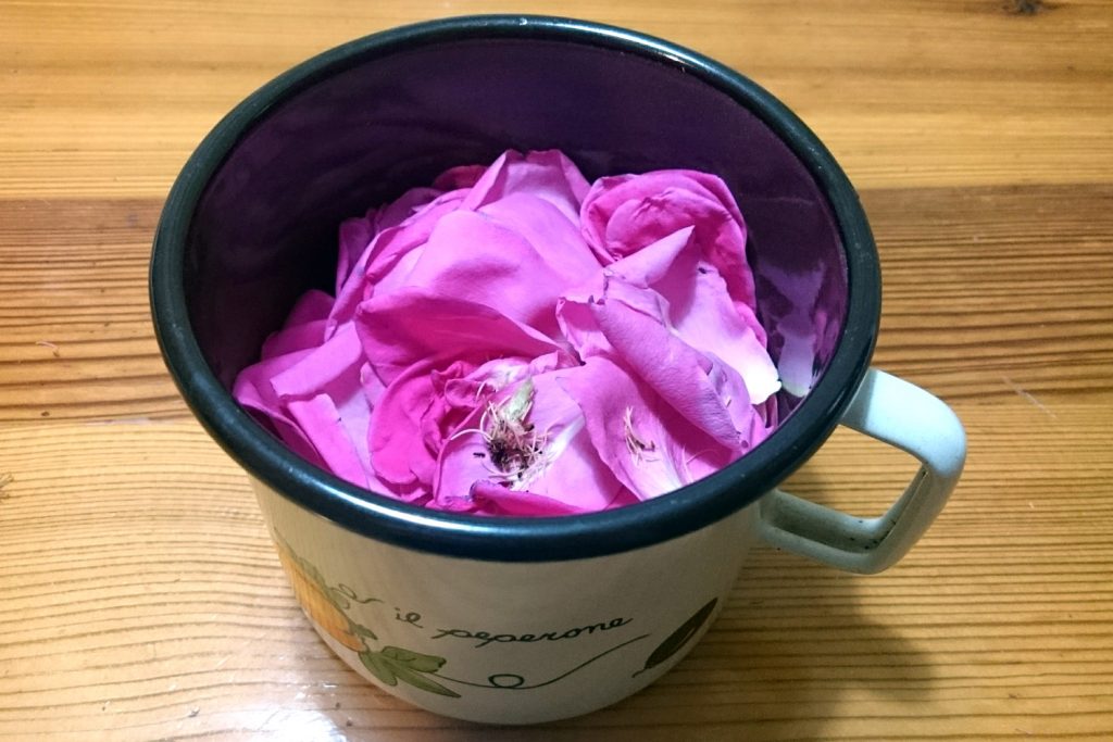 lonček cvetni listi vrtnic domača rožna voda kako narediti
