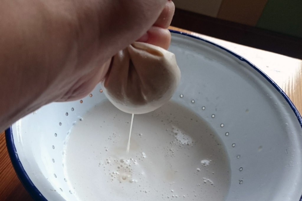 domače orehovo mleko postopek recept